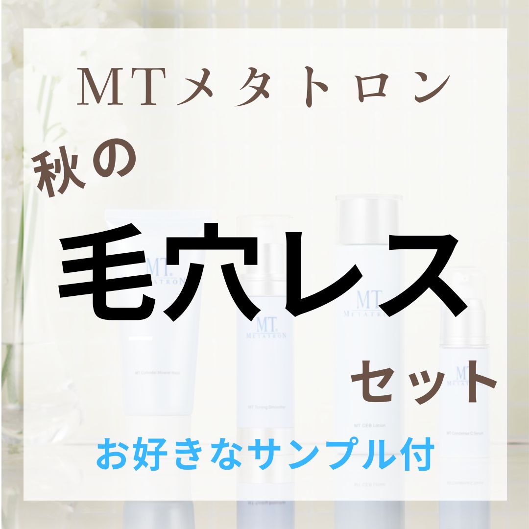 画像1: 9・10月限定　MTメタトロン【秋の毛穴レスセット】 (1)